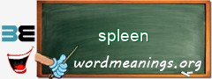 WordMeaning blackboard for spleen